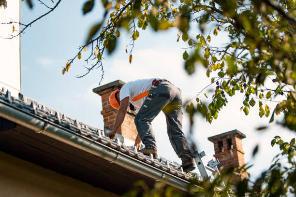 Quick and Trustworthy Emergency Roof Repair Services in Princeton, MO